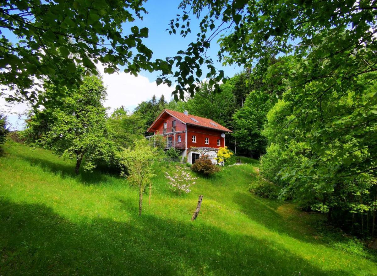 Ferienwohnung Am Woid - Herrliche Alleinlage - Vegane Einrichtung Waldkirchen Zewnętrze zdjęcie
